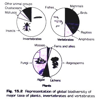 Representation of Global Biodiversity of Major Taxa of Plants, Invertebrates and Vertebrates 