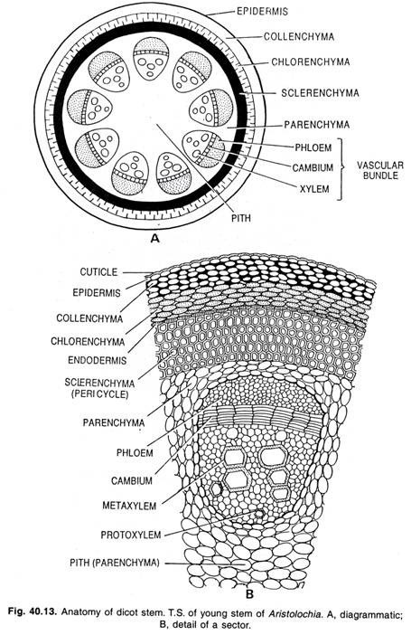 Two parts of any ecosystem