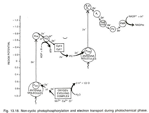 Some LD50 values for T-2 toxin