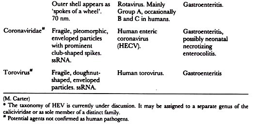 Human enteric viruses