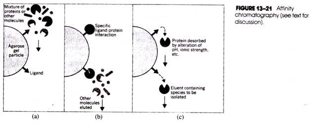 Determination of Expected Segregation Ratio