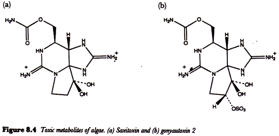 Toxic Metabolites of Algae