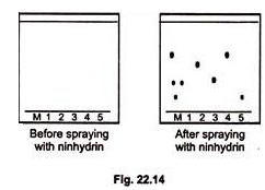 Examples of Lichens Used as Source of Food