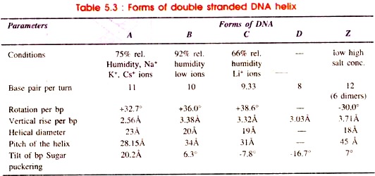 Forms of Double Stranded DNA Helix