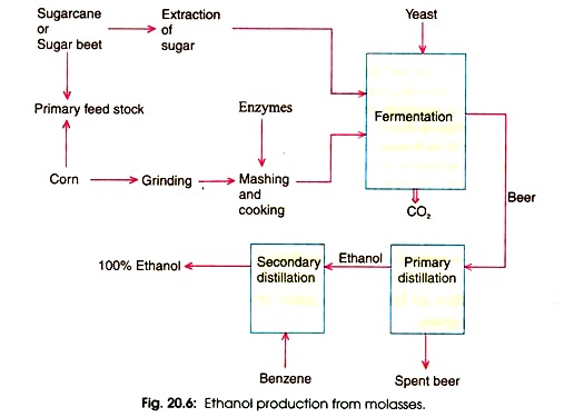 Ethanol Production from Molasses