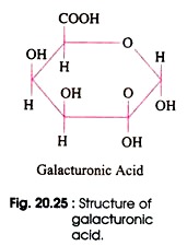 Structure of Galactronic Acid