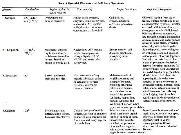 Negative and Positive Regulation Genes