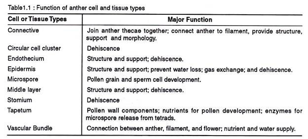 Major functions of Anther and Tissues