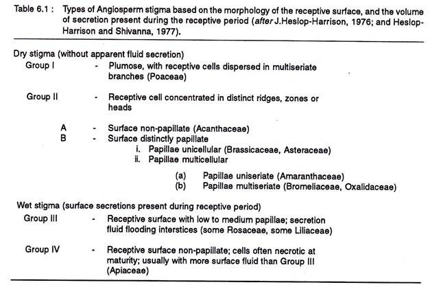Types of angiosperm stigma based on the morphology