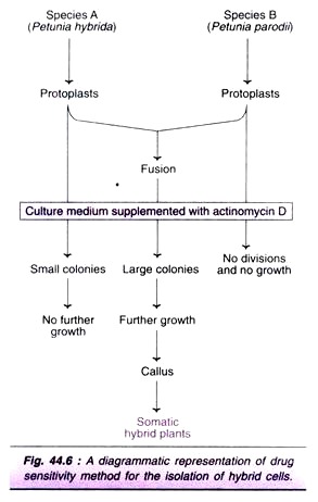 Enumeration of Micro-Organisms