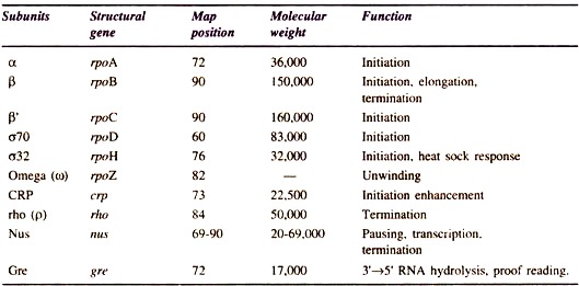 RNA Polymerase Subunits and Other Transcription Factors