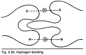 Hydrogen Bonding
