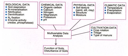 Integrated evaluation of biological, chemical, physical, cultivation and climatic data