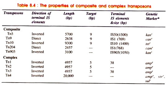 Properties of composite and complex transposons