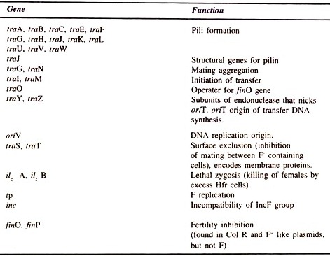 Some gene and sites of Plasmids and their function 
