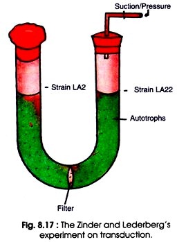 The zinder and lederberg's experiment on transduction