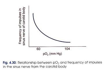Relationship between pO2 and frequency 