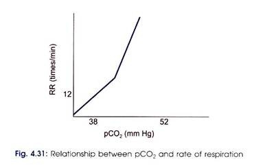 Relationship between pCO2 and rate of respiration