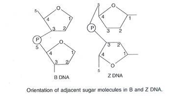 Discoveries and Nobel Prizes for Immunology