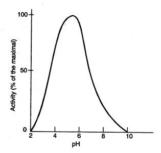 Optimum enzymatic activity of Lysozyme at pH 5.2
