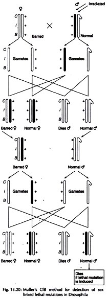 clip_image0024_thumb5