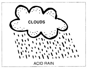 Acid Rain