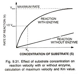 Effect of substrate concentration