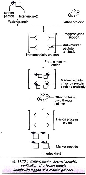 Procedure followed in polymerase chain reaction