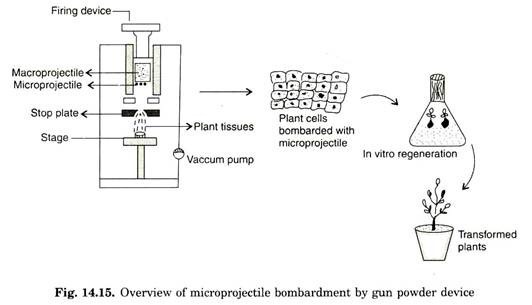 Overview of microprojectile bombardment by gun powder device