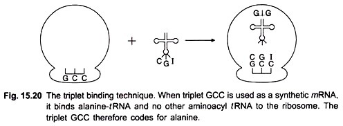 The triplet binding technique.