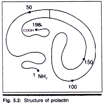 Types of Receptor-Effector Linkage