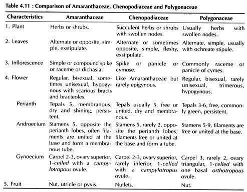 Amaranthaceae, Chenopodiaceae and Polygonaceae
