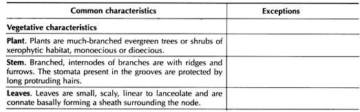 Distictive Features