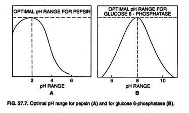 Optimal pH Range for Pepsin
