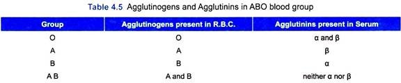 Agglutinogens and Agglutinins in ABO Blood Group