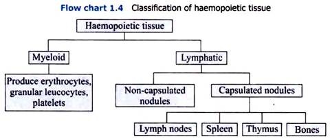 Classification of Haemopoietic Tissue