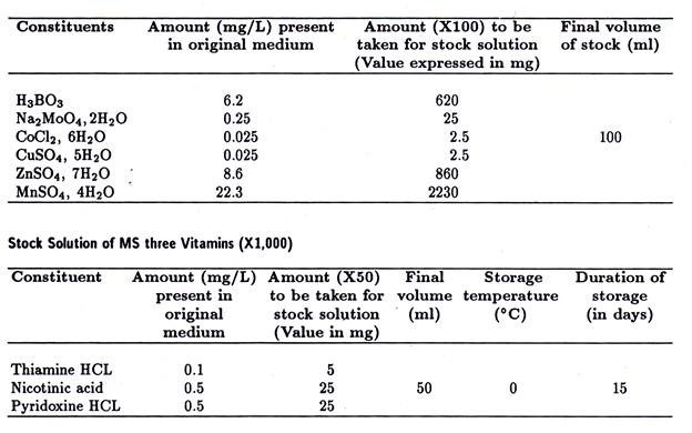 Vitamin B12 (Cyanocobalamin)