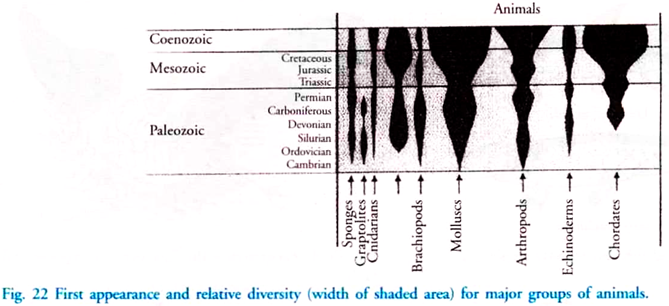 First Appearance and Relative Diversity for Major Groups of Animals