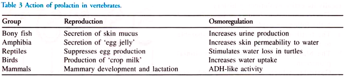 Action of Prolactin in Vertebrates