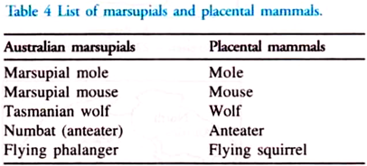 List of Marsupials and Placental Mammals